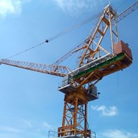 Crane 